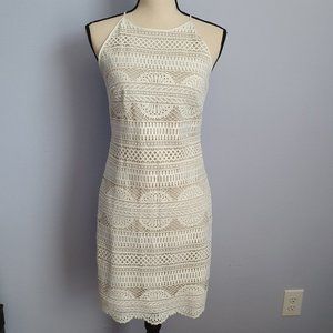 White House Black Market White Crochet Lace Dress Size 0